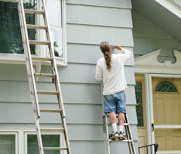 Painting and decoration3